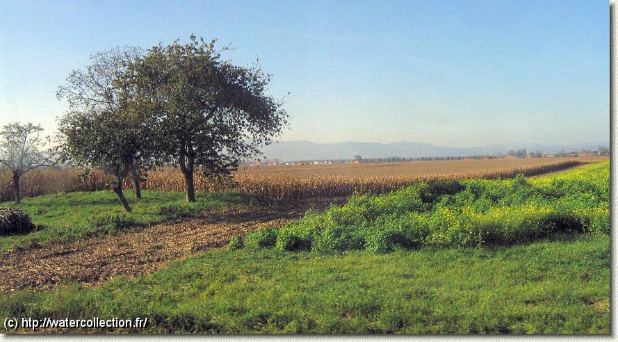 Diapositive suivante